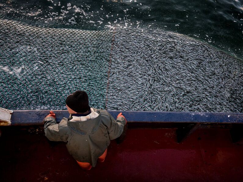 Tiedosto:Kalatalousverkosto kuvapankki-24.jpg