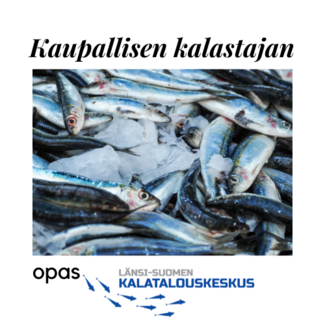 Kaupallisen kalastajan (1).png