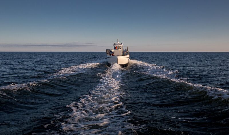 Tiedosto:Kalatalousverkosto kuvapankki-11.jpg