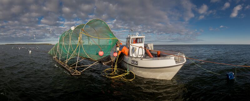 Tiedosto:Kalatalousverkosto kuvapankki-2.jpg