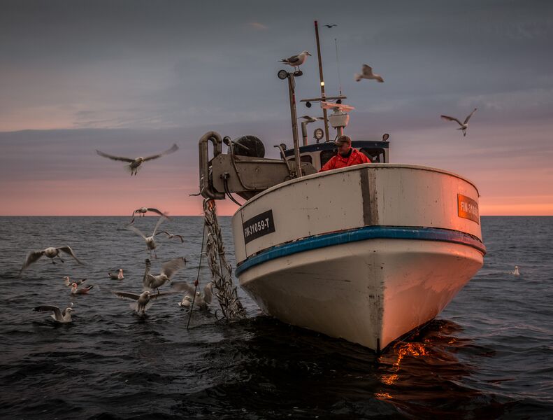 Tiedosto:Kalatalousverkosto kuvapankki-10.jpg