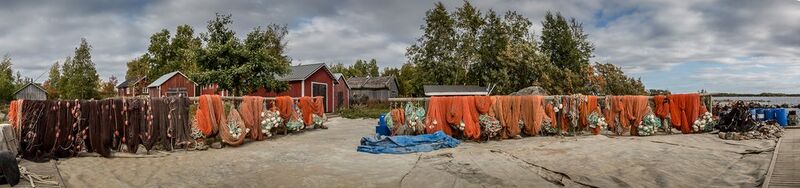 Tiedosto:Kalatalousverkosto kuvapankki-1.jpg